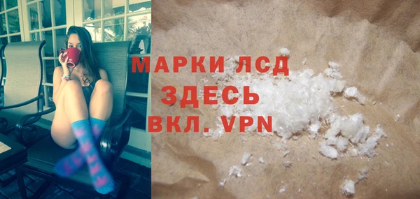 spice Богданович